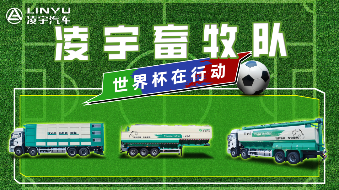 奪冠世界杯！你注意到這支球隊了嗎？